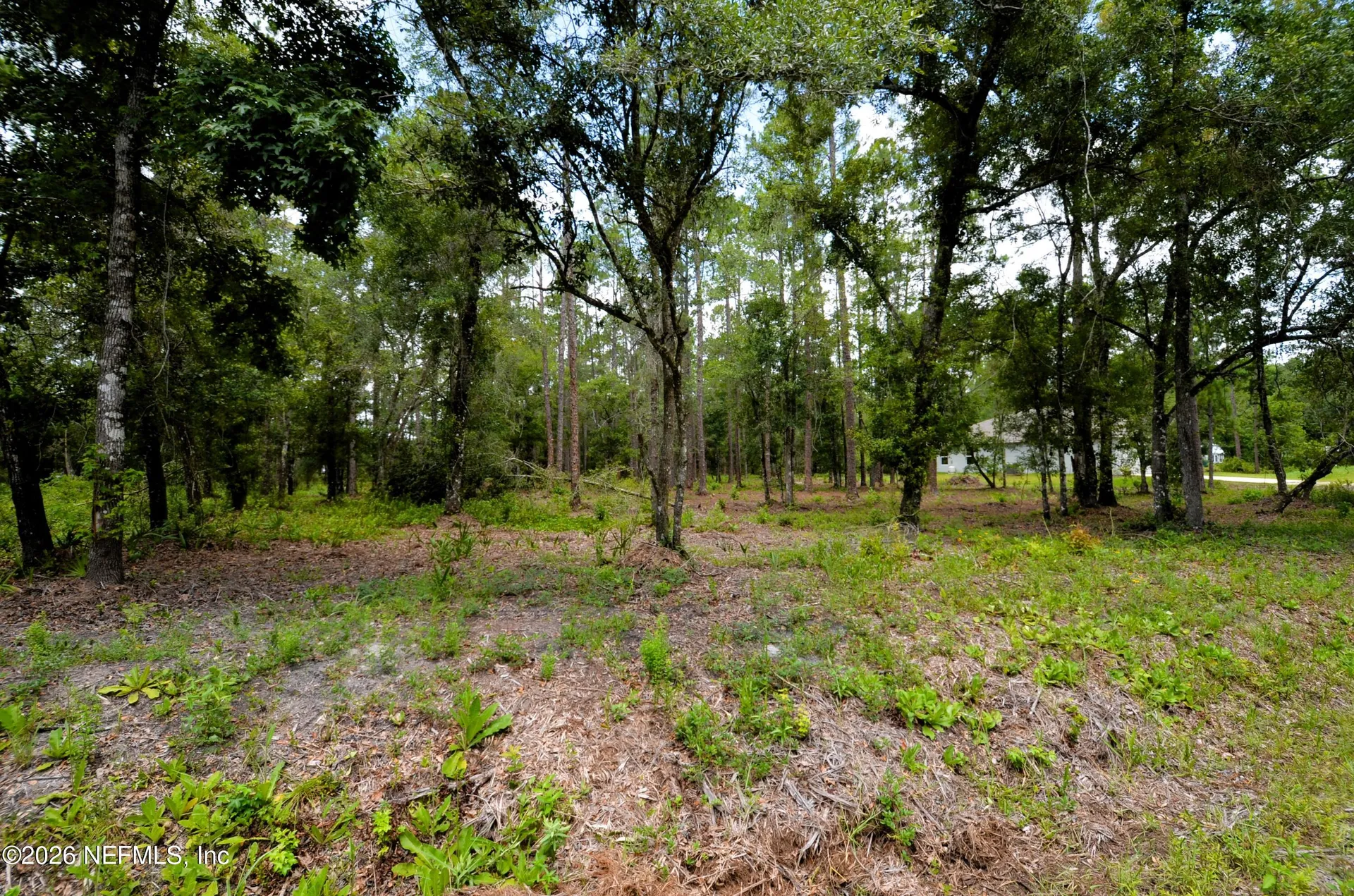 10155 Allison Avenue Hastings FL 32145