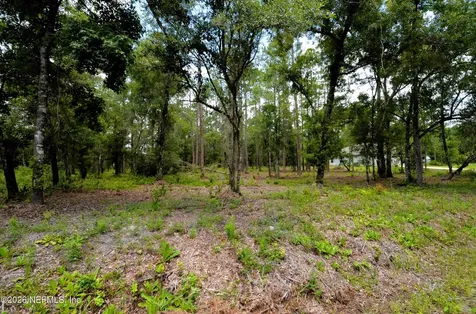 10155 Allison Avenue Hastings FL 32145