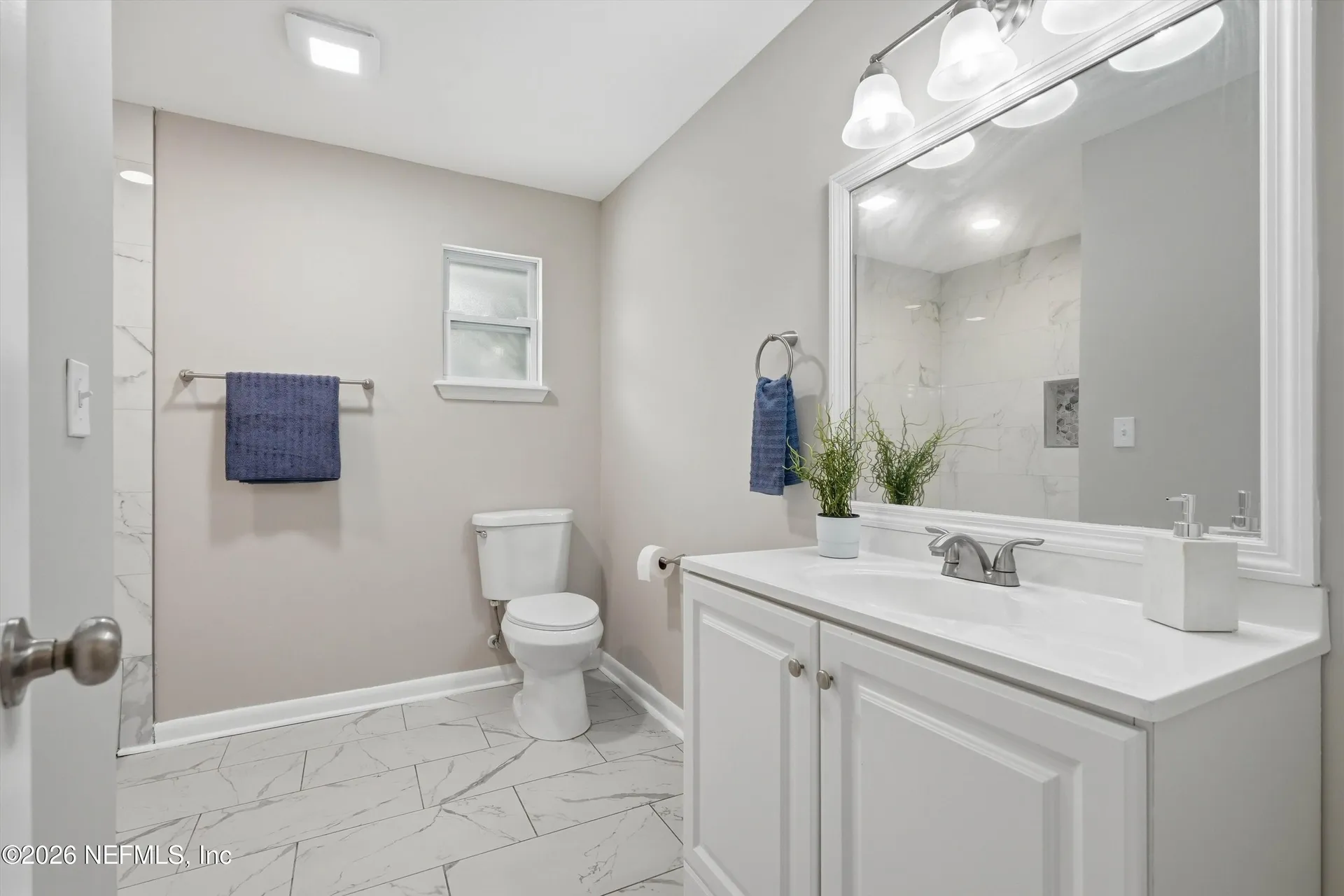 3662 Mateo Place Orange Park FL 32065
