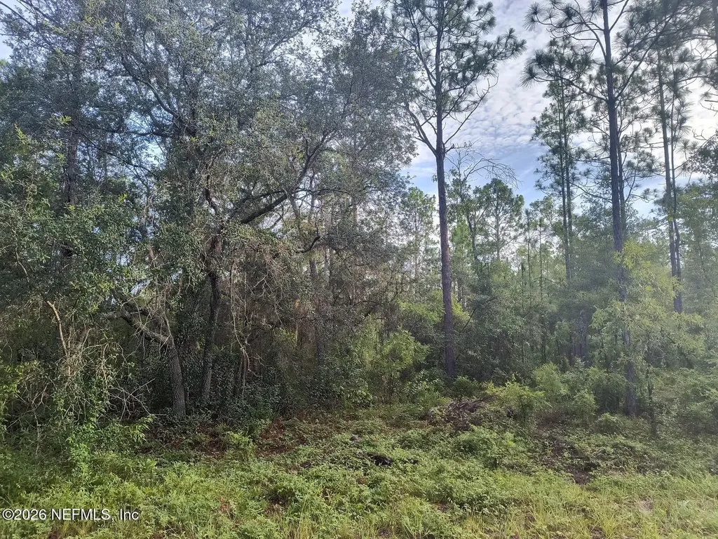 6238 Northwestern Avenue Keystone Heights FL 32656