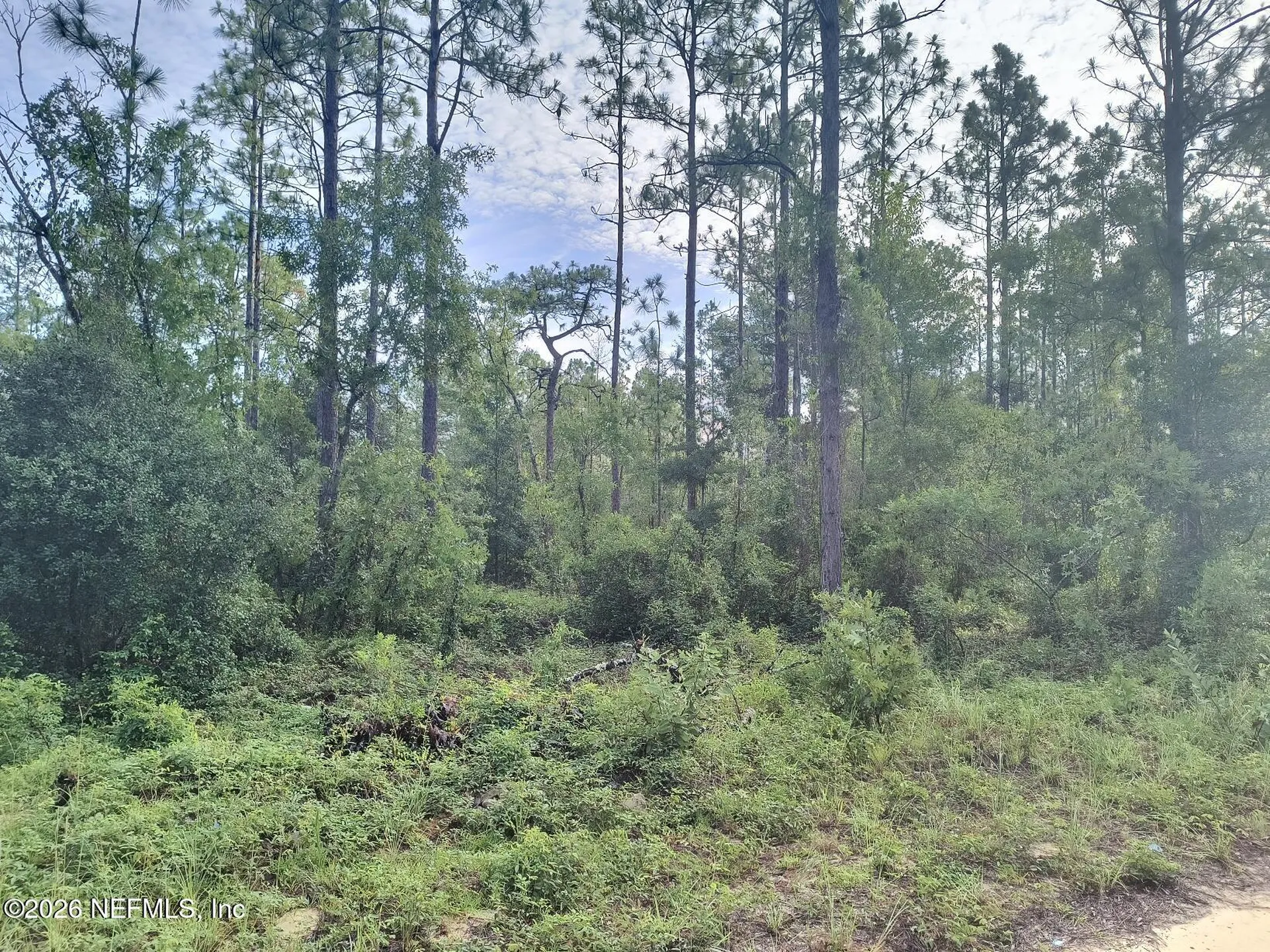 6238 Northwestern Avenue Keystone Heights FL 32656