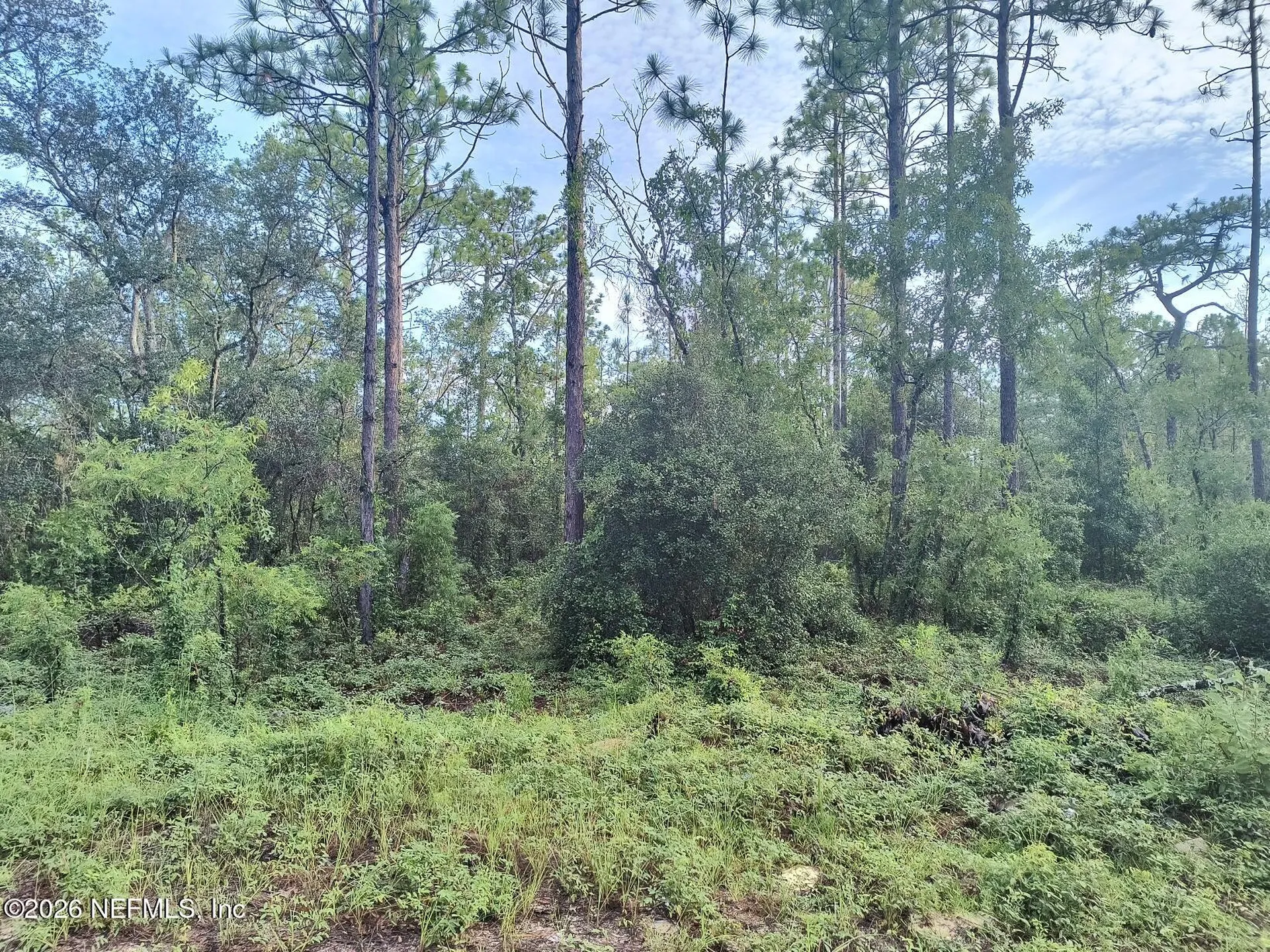 6238 Northwestern Avenue Keystone Heights FL 32656
