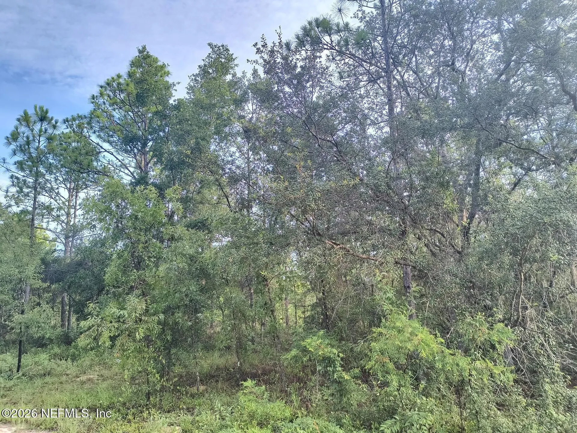 6238 Northwestern Avenue Keystone Heights FL 32656