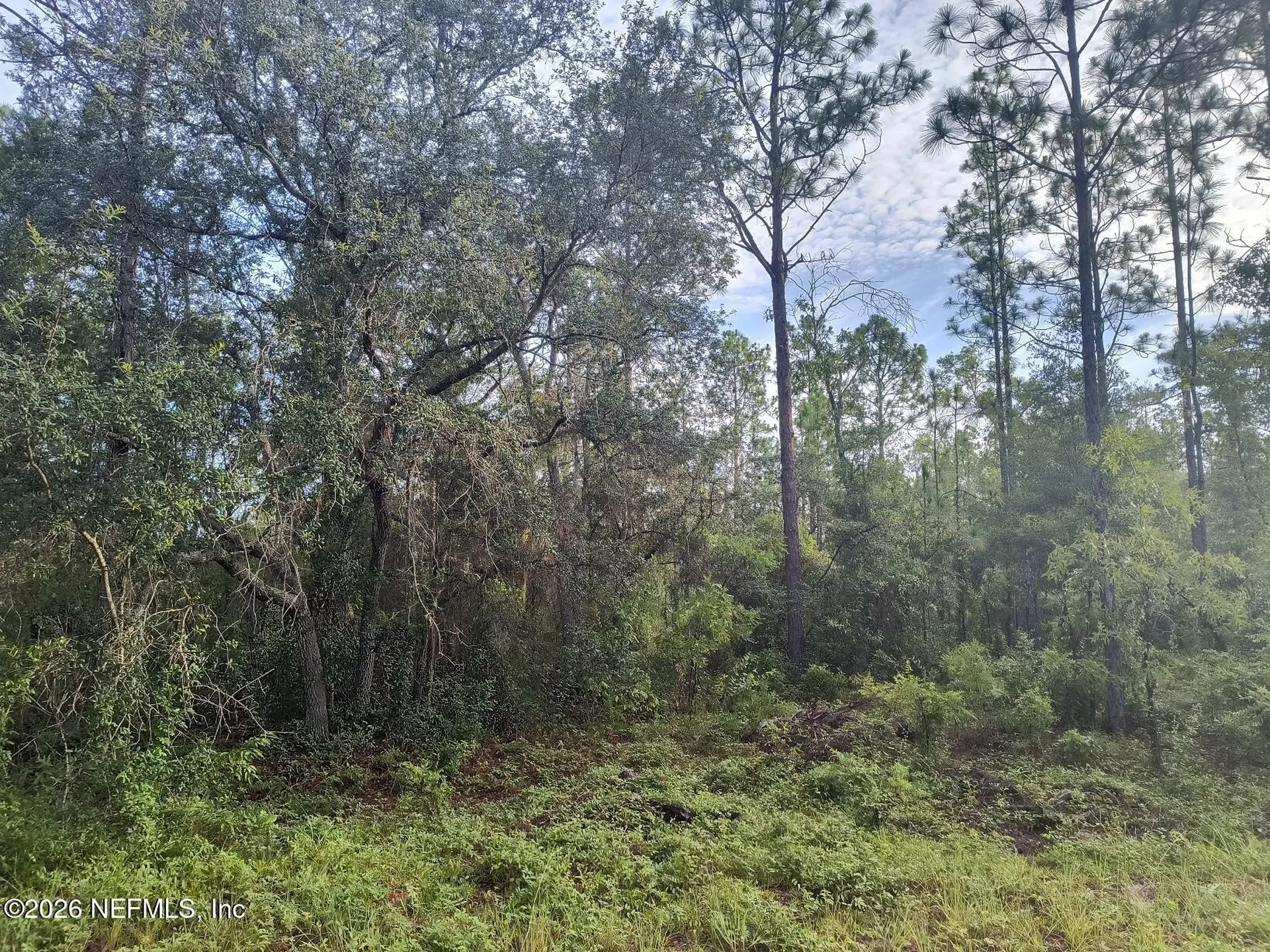 6238 Northwestern Avenue Keystone Heights FL 32656