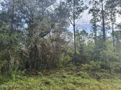 6238 Northwestern Avenue Keystone Heights FL 32656