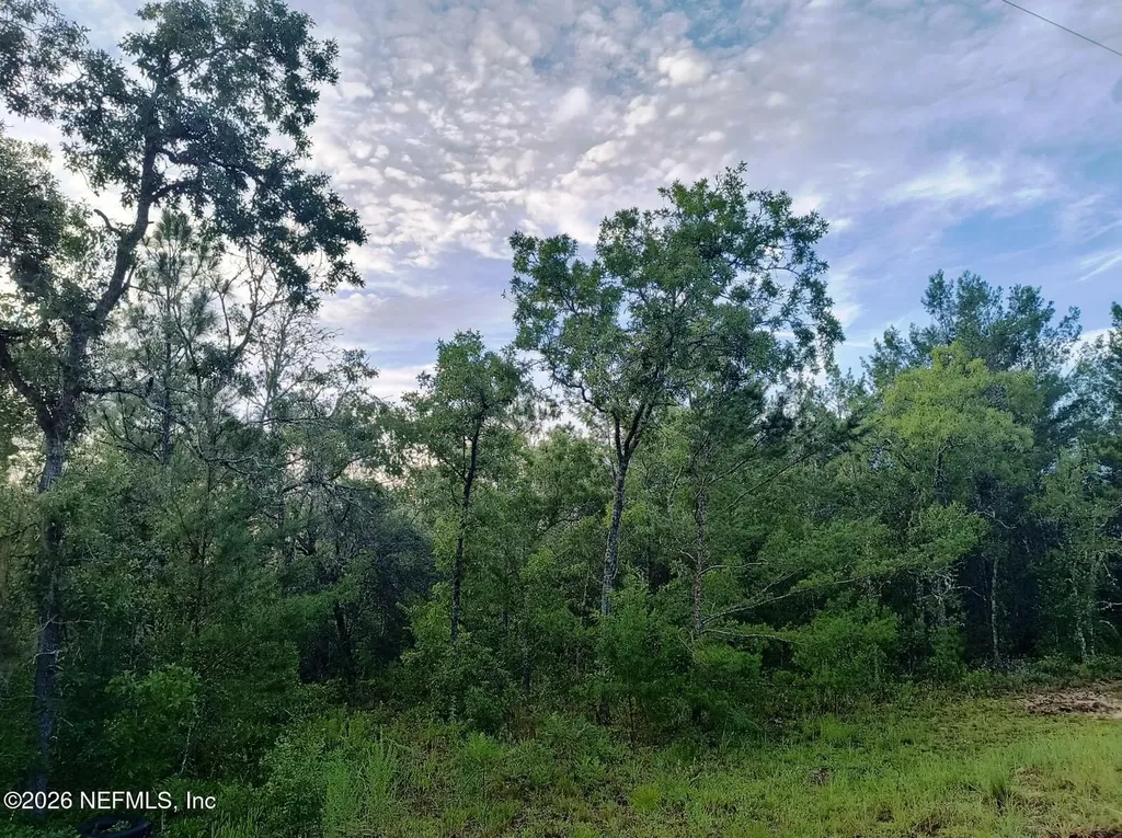 7271 Yale Street Keystone Heights FL 32656