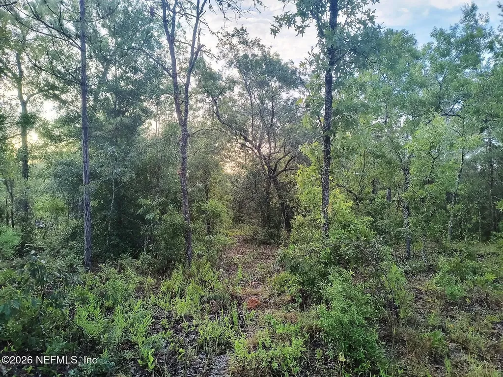 7271 Yale Street Keystone Heights FL 32656