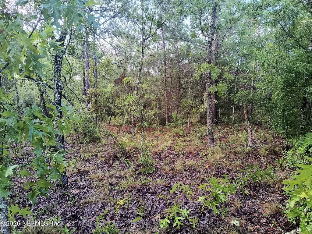 7271 Yale Street Keystone Heights FL 32656