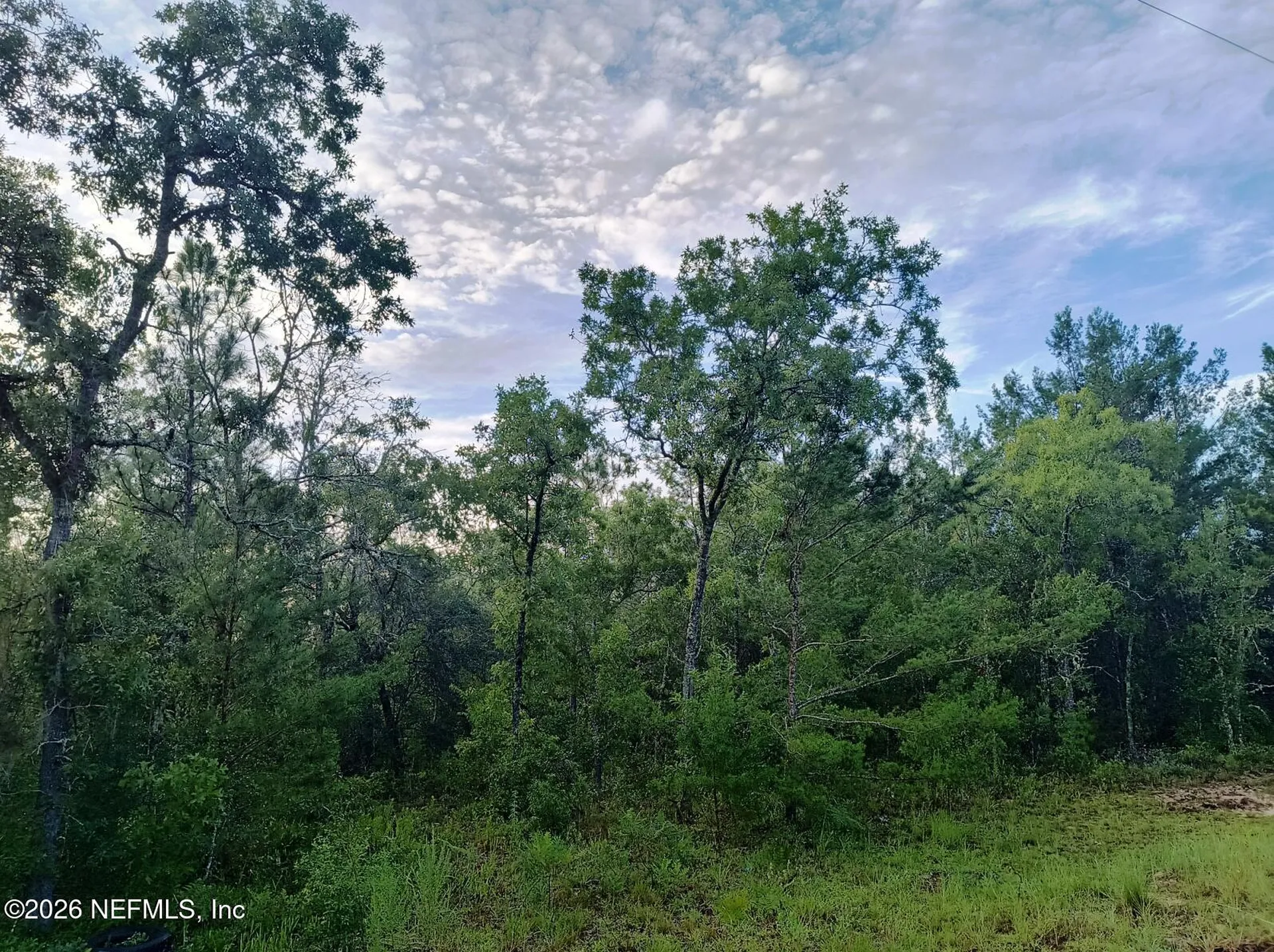 7271 Yale Street Keystone Heights FL 32656