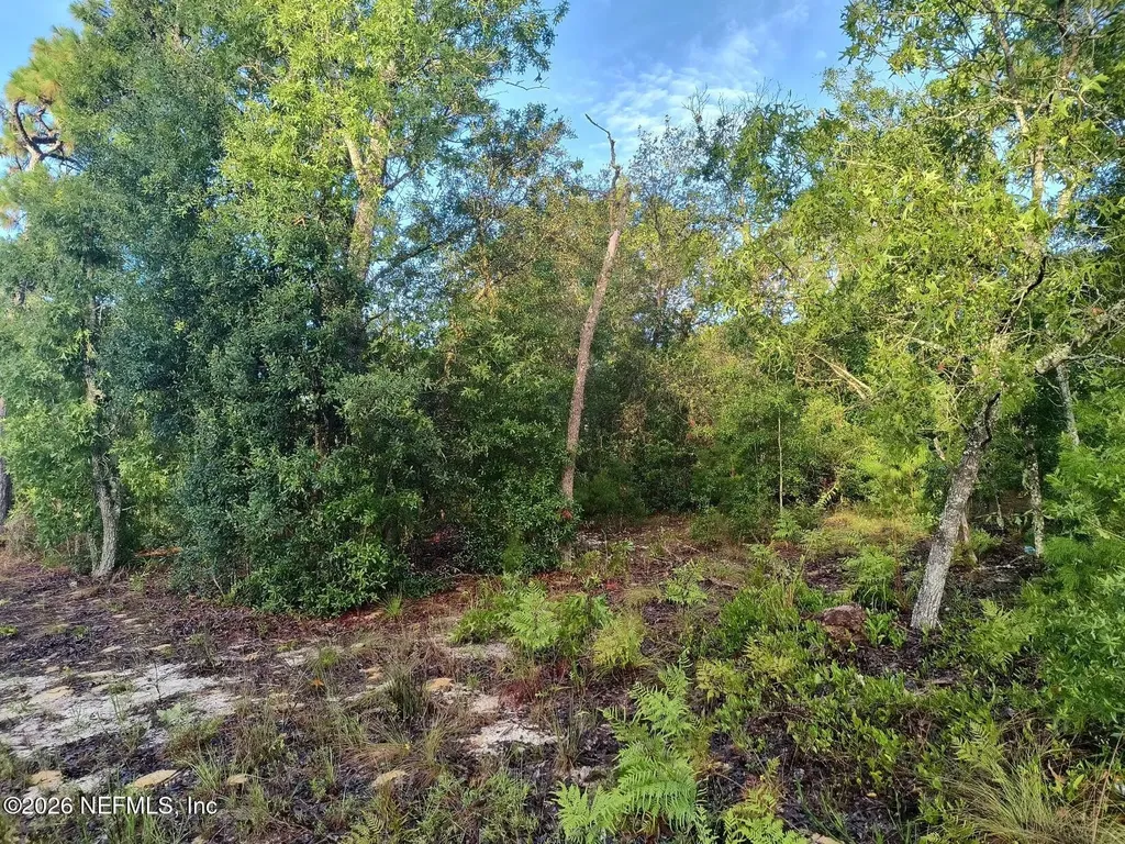 7150 Wesleyan Drive Keystone Heights FL 32656