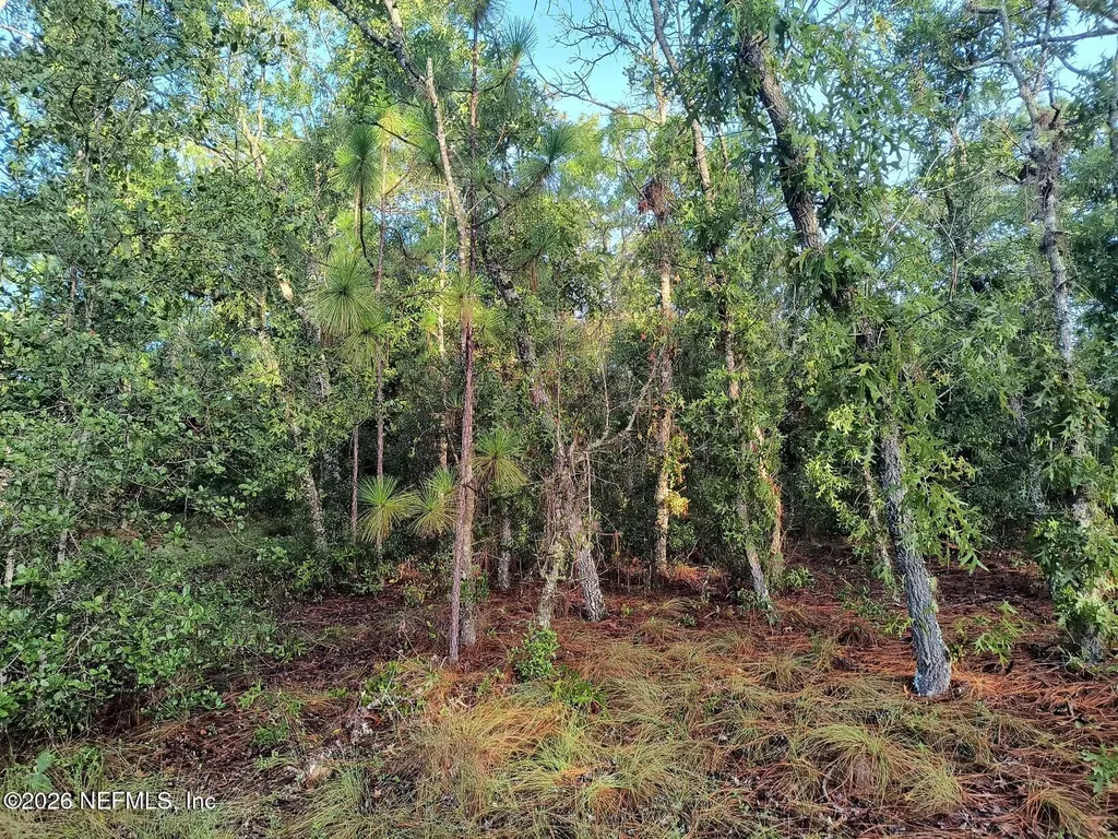 7150 Wesleyan Drive Keystone Heights FL 32656