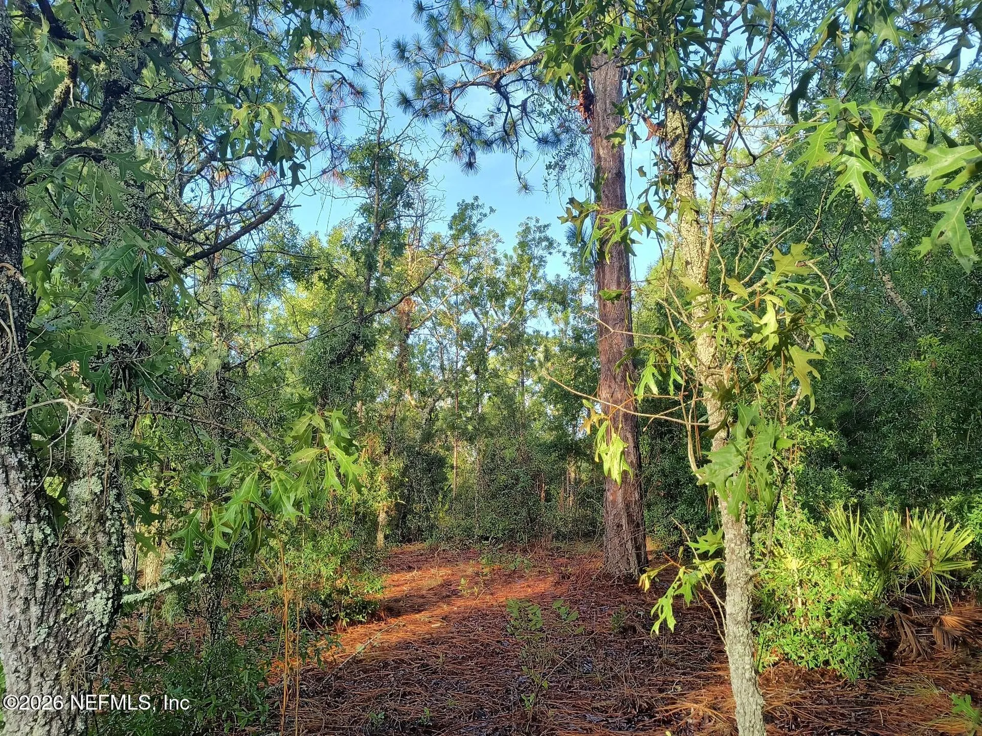7150 Wesleyan Drive Keystone Heights FL 32656