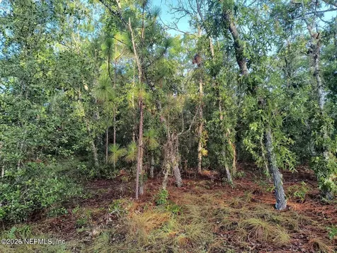7150 Wesleyan Drive Keystone Heights FL 32656