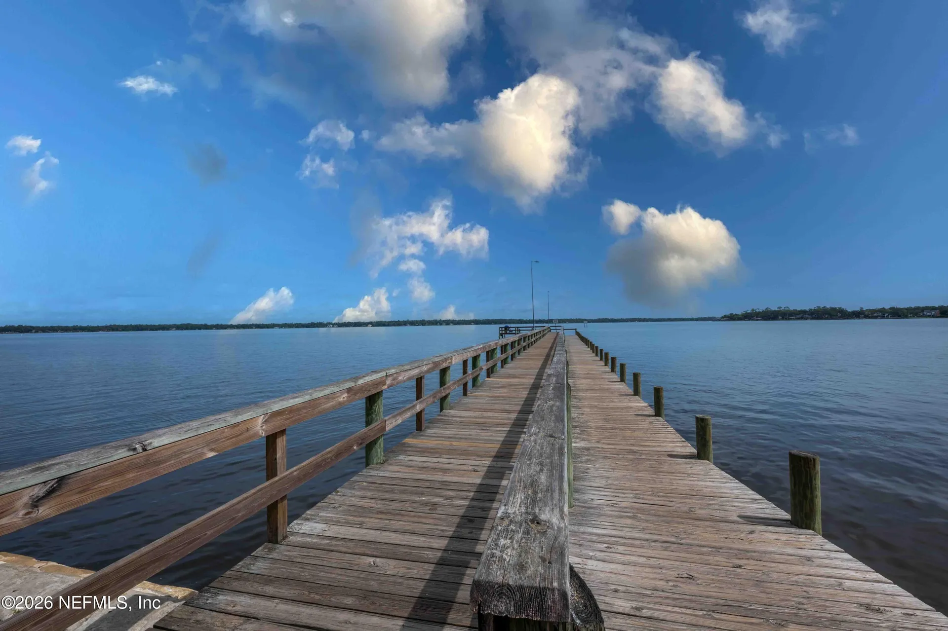 1608 Brighton Bluff Court Fleming Island FL 32003
