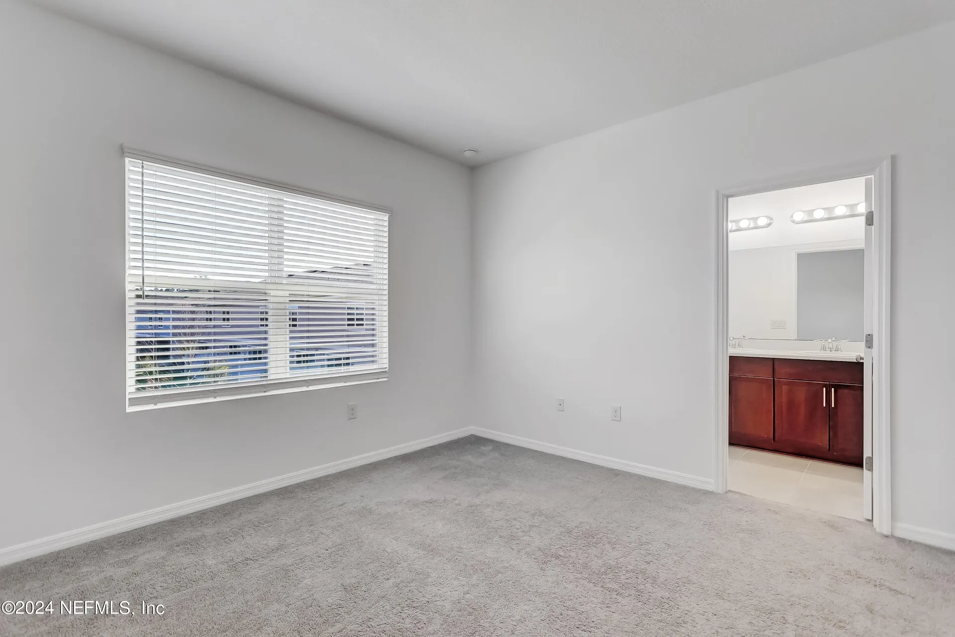 13115 Annies Walk Drive Jacksonville FL 32218