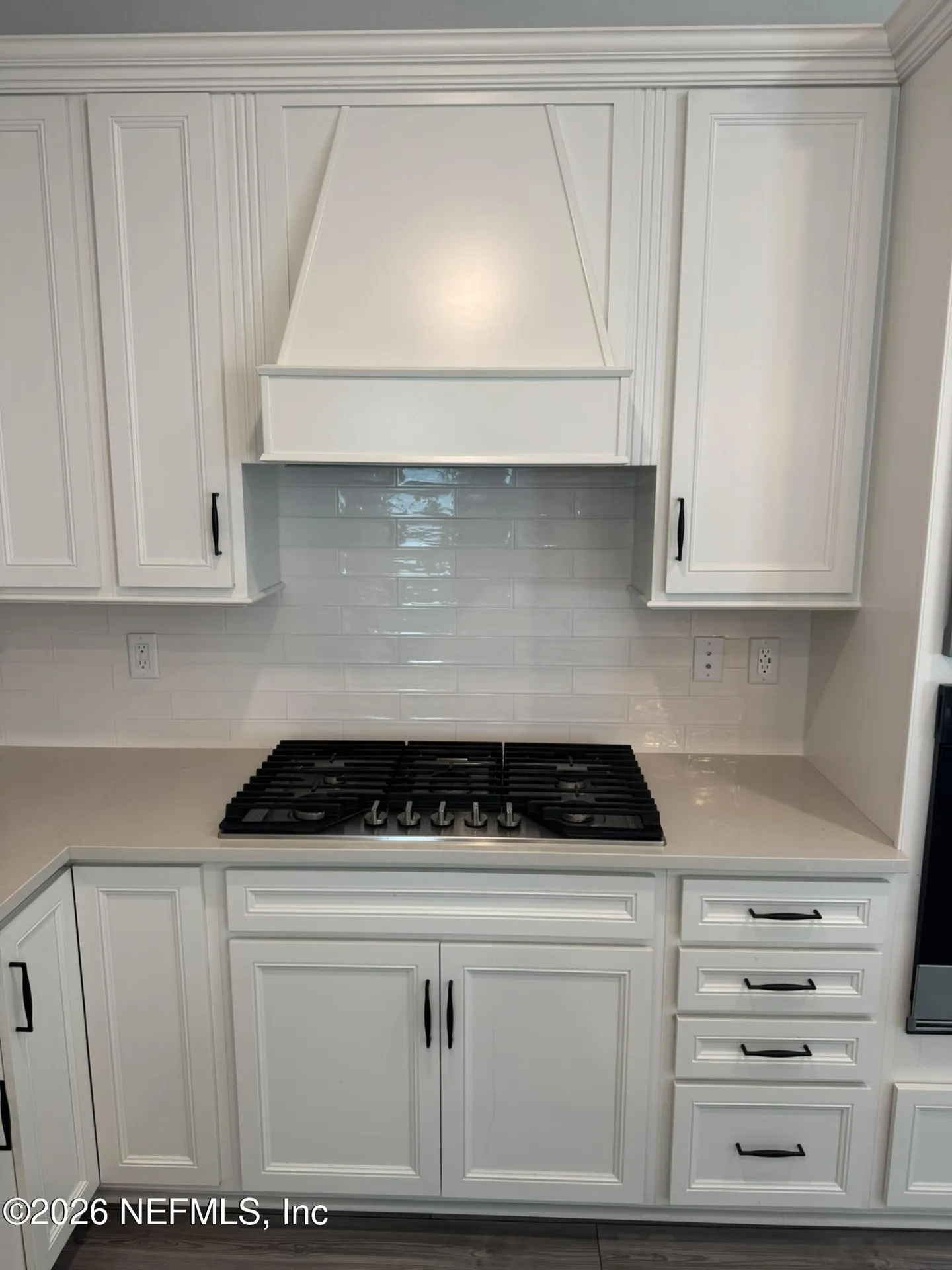 236 Hawthorn Park Circle Yulee FL 32097