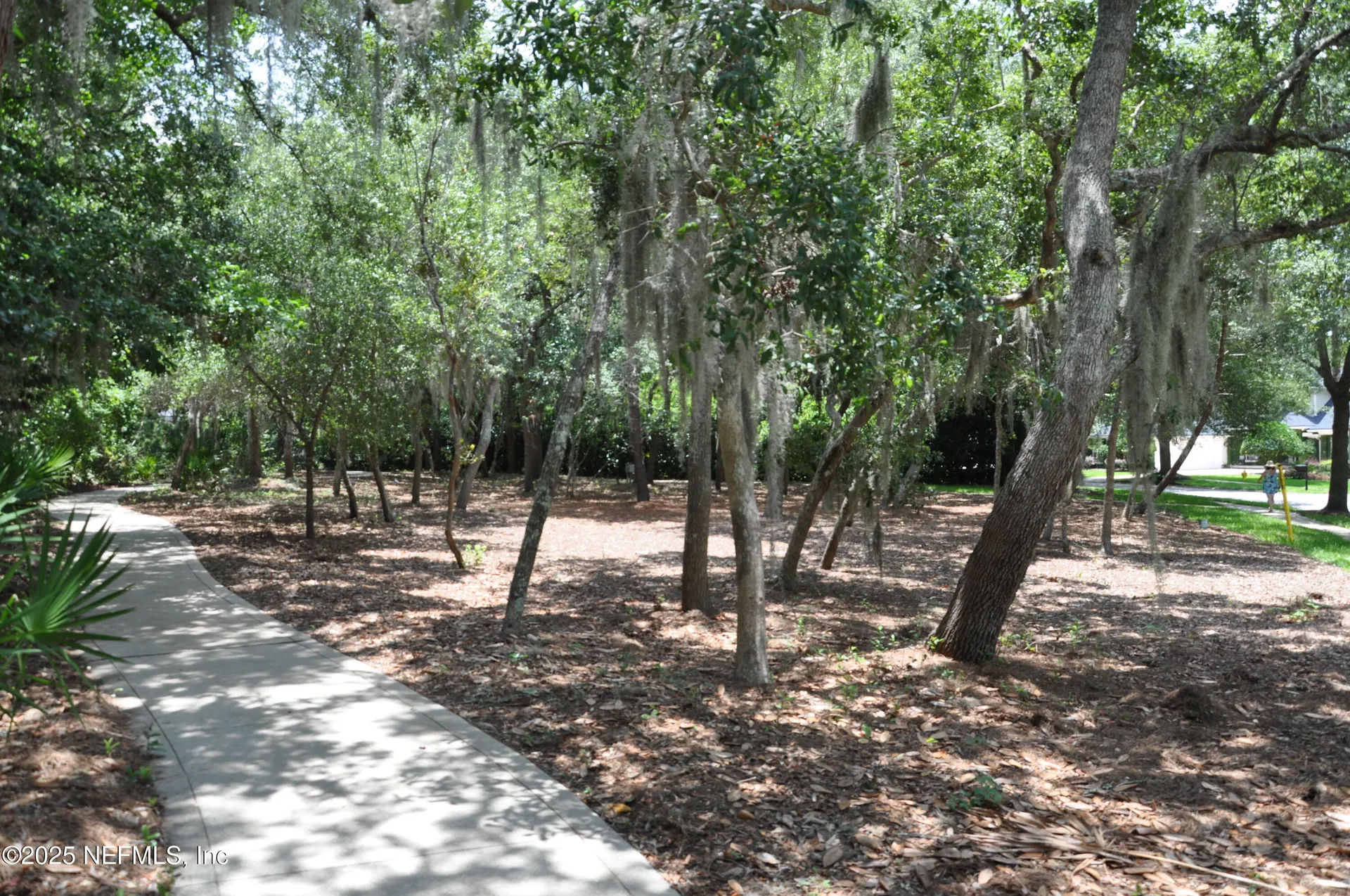 649 Treehouse Circle St. Augustine FL 32095