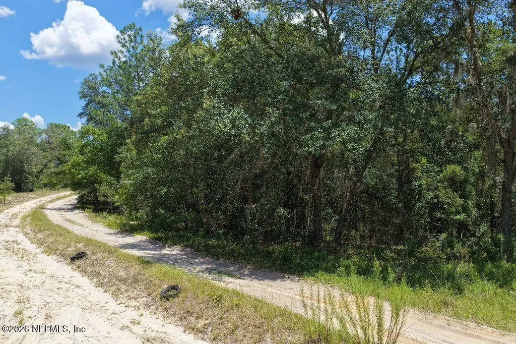 131 Long Branch Trail Interlachen FL 32148
