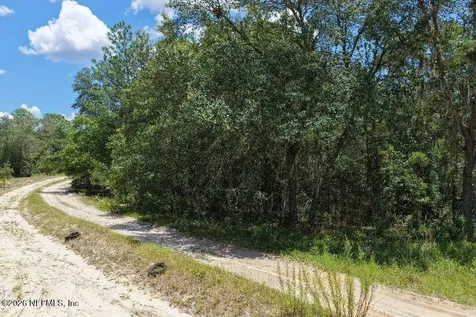 131 Long Branch Trail Interlachen FL 32148