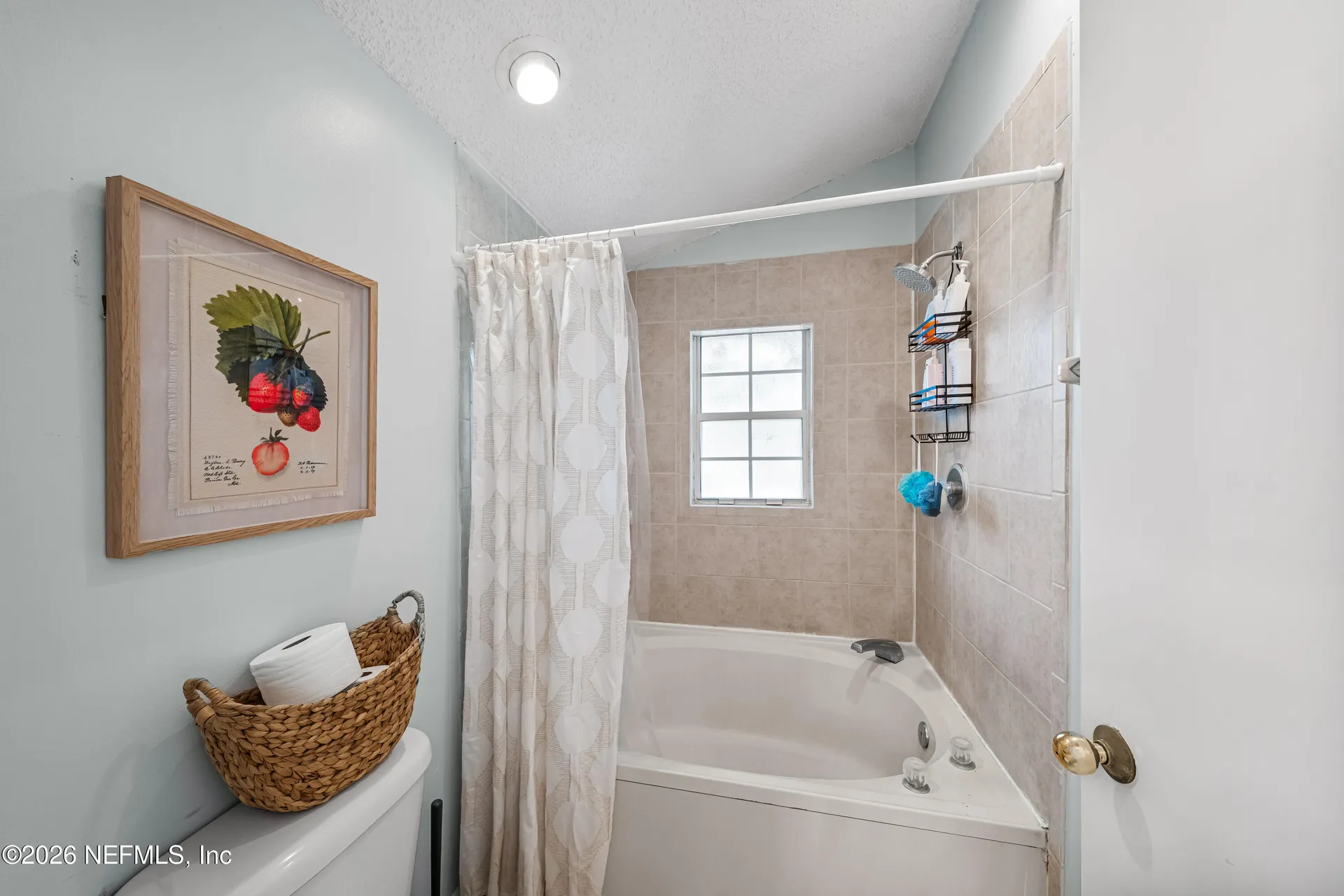 7764 Mystic Point Court E Jacksonville FL 32277
