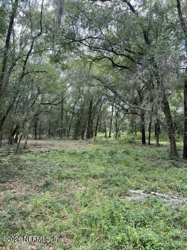 607 Cousintown Road Interlachen FL 32148