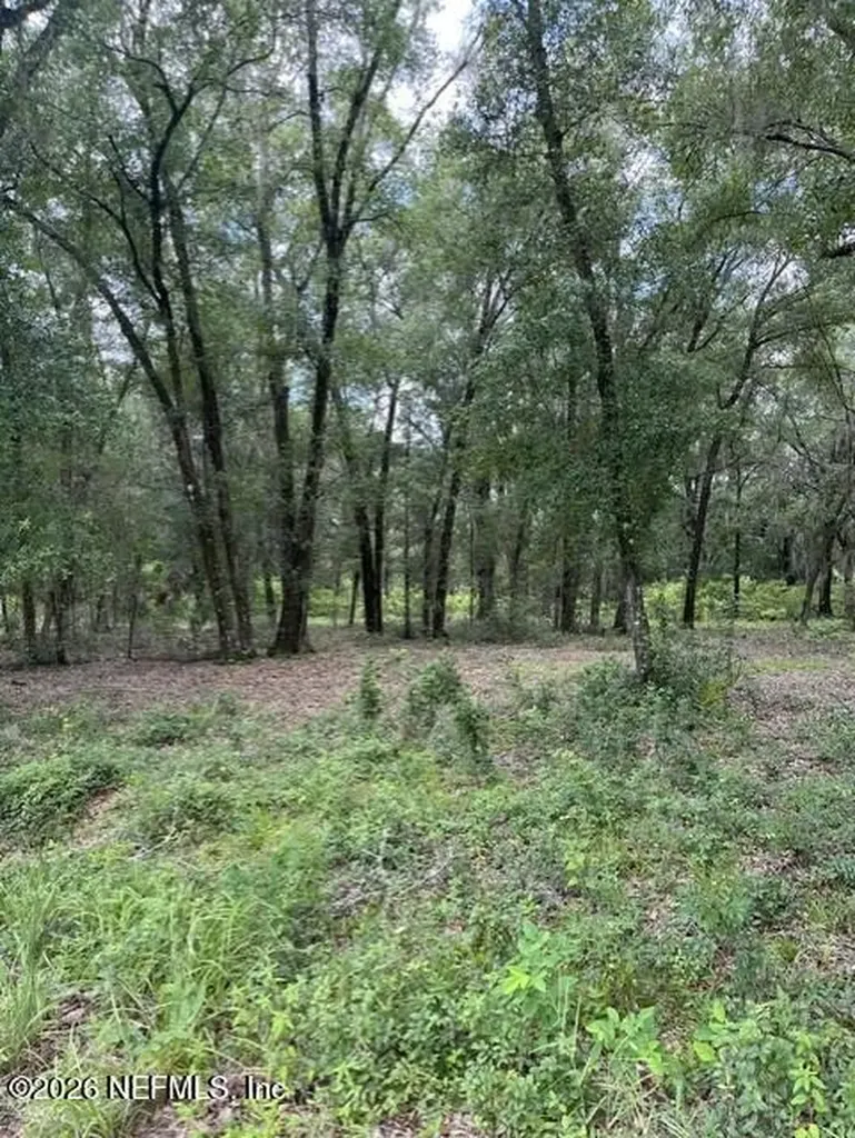607 Cousintown Road Interlachen FL 32148