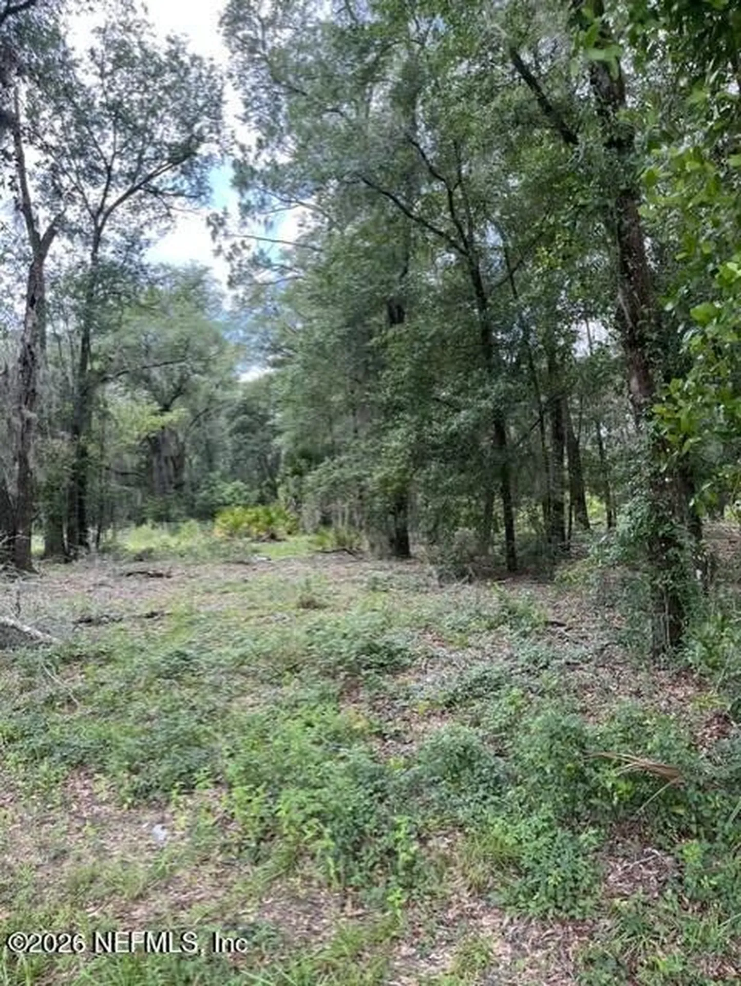 607 Cousintown Road Interlachen FL 32148