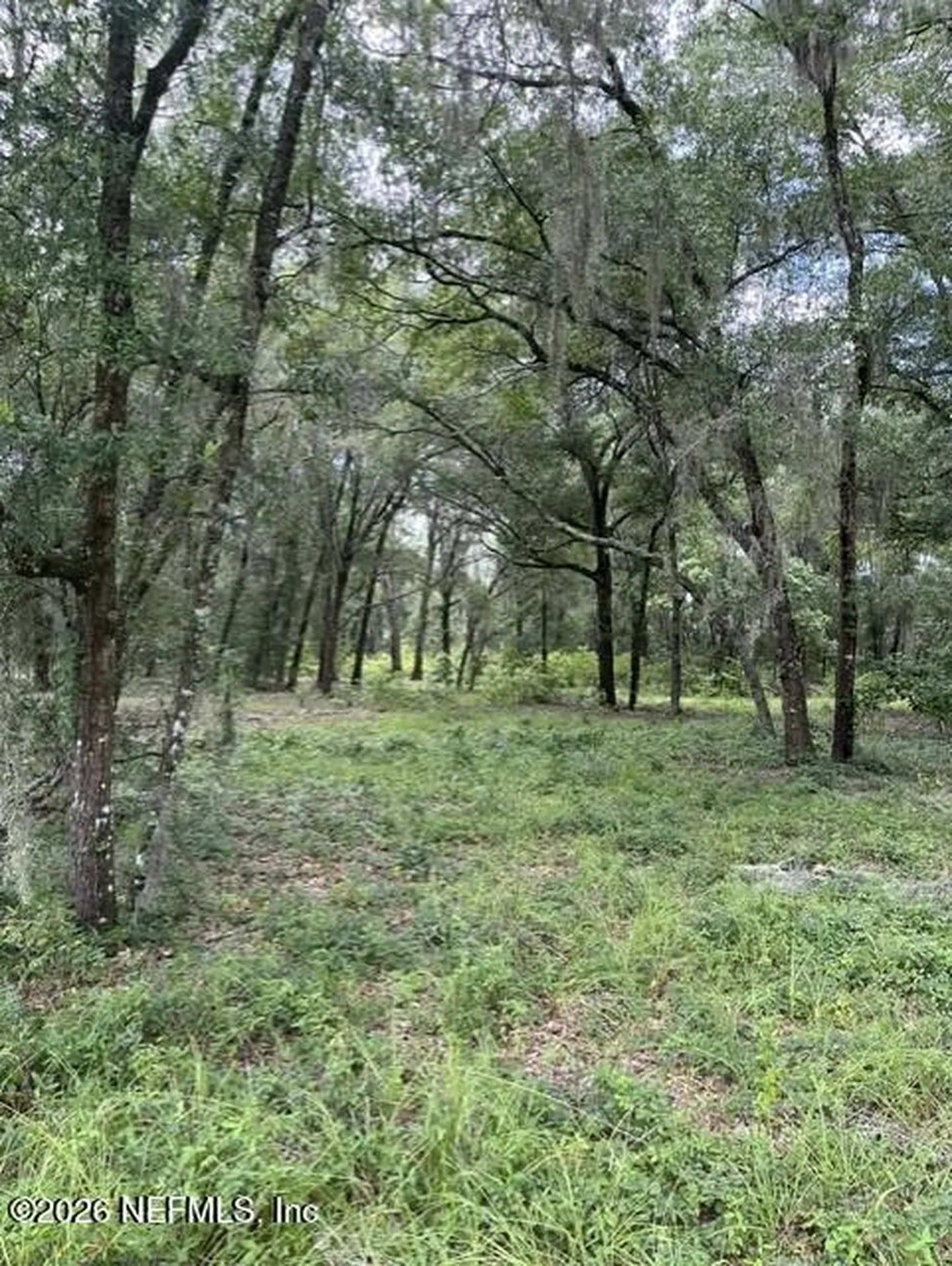 607 Cousintown Road Interlachen FL 32148