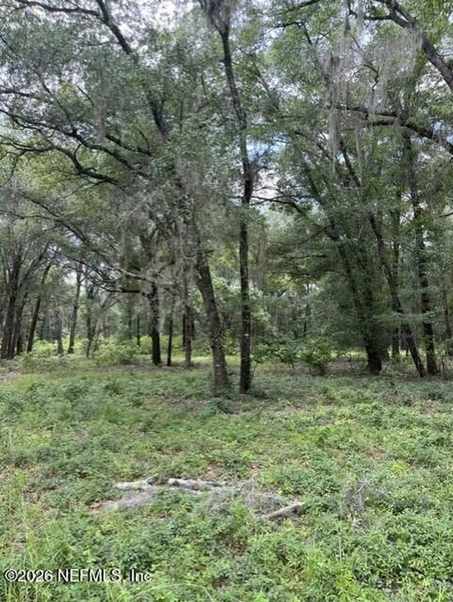 607 Cousintown Road Interlachen FL 32148