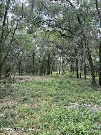 607 Cousintown Road Interlachen FL 32148