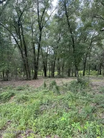 607 Cousintown Road Interlachen FL 32148