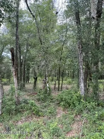 607 Cousintown Road Interlachen FL 32148