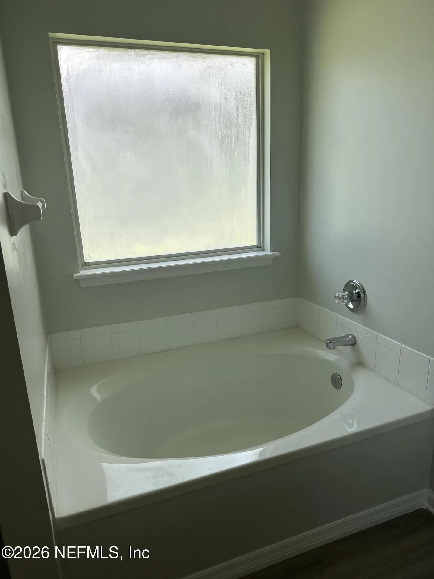 1610 Northglen Circle Middleburg FL 32068