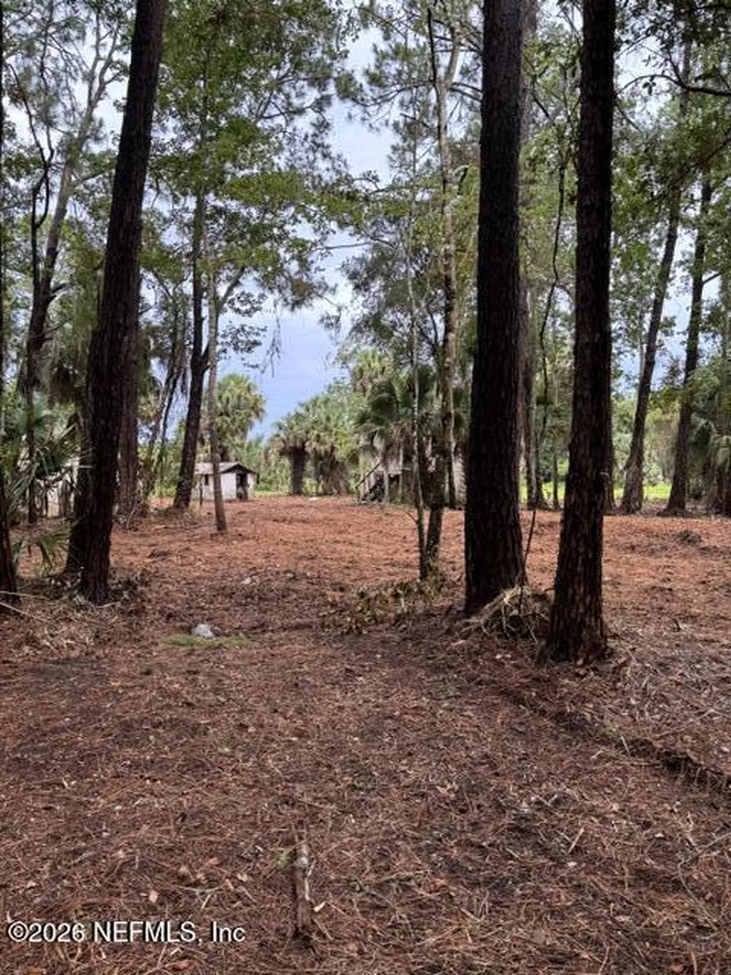 114 E River Road East Palatka FL 32131