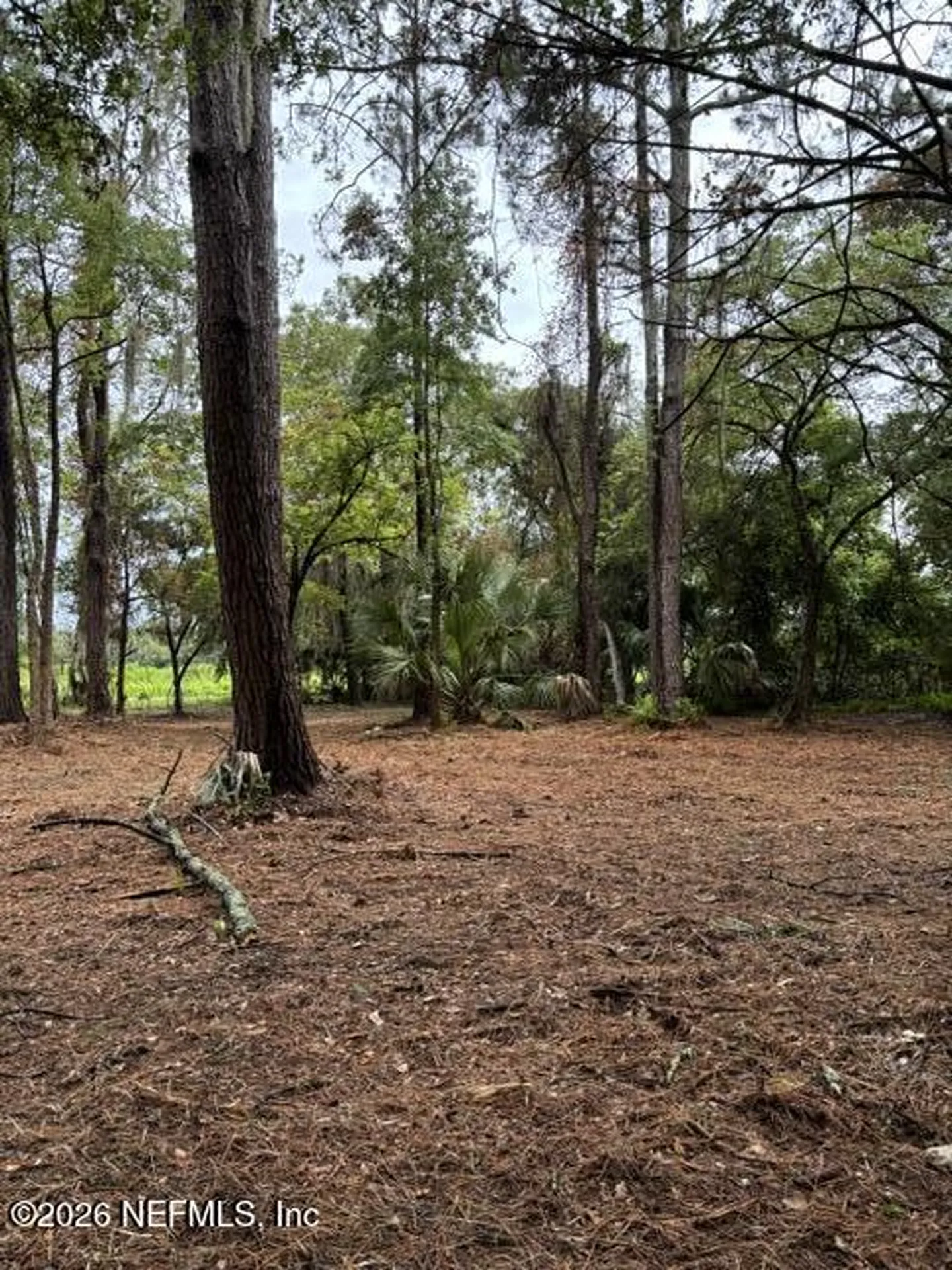 114 E River Road East Palatka FL 32131