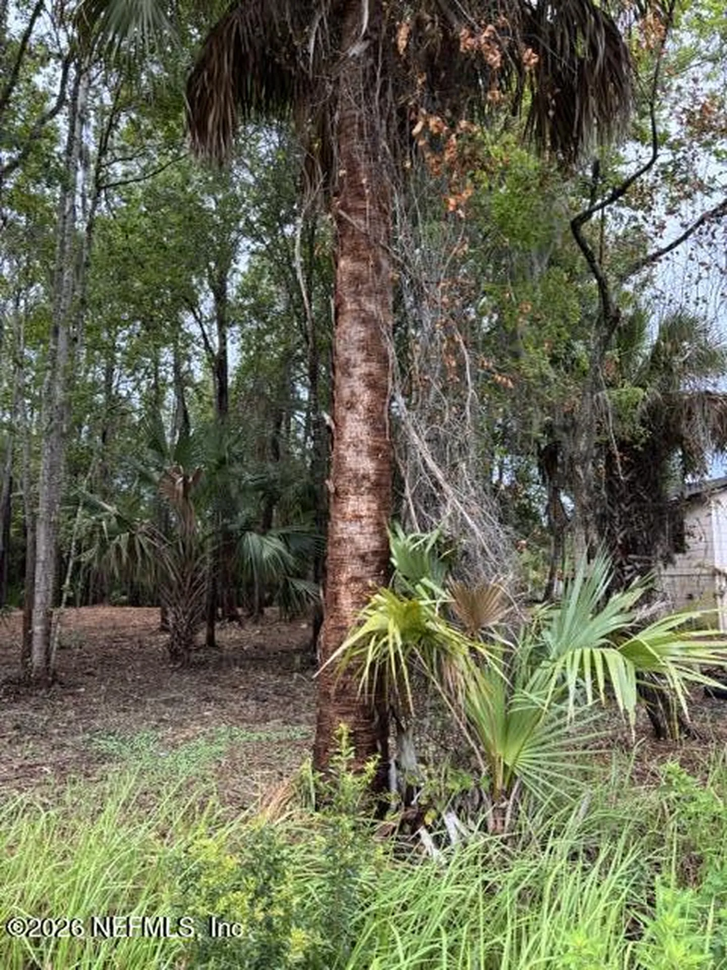 114 E River Road East Palatka FL 32131