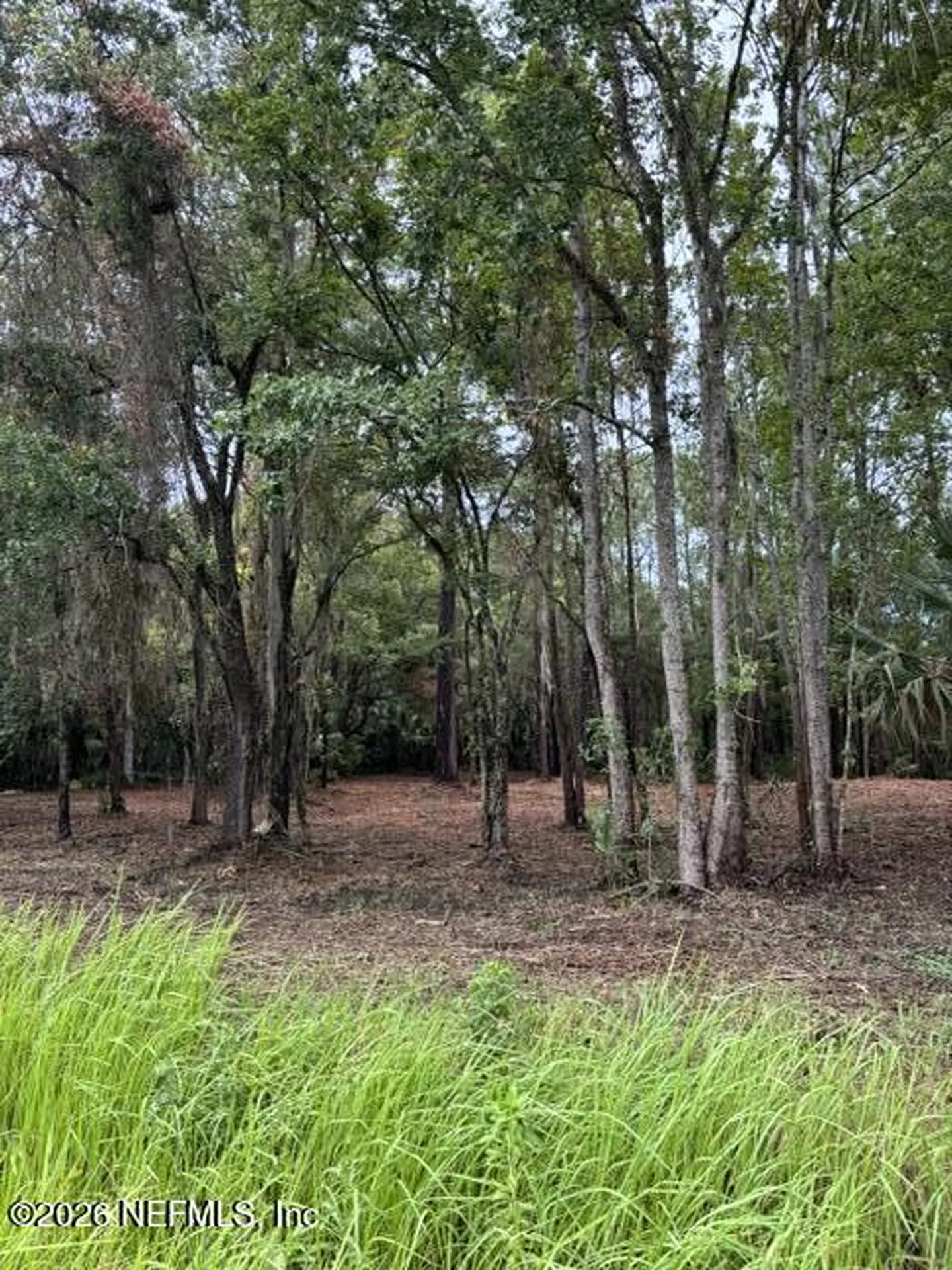 114 E River Road East Palatka FL 32131