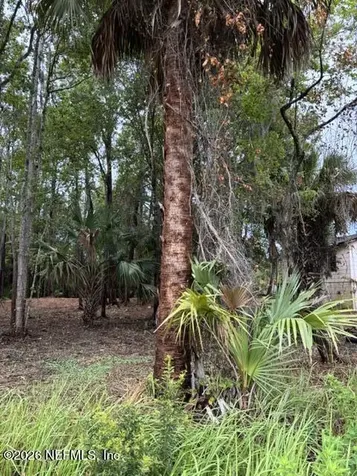 114 E River Road East Palatka FL 32131