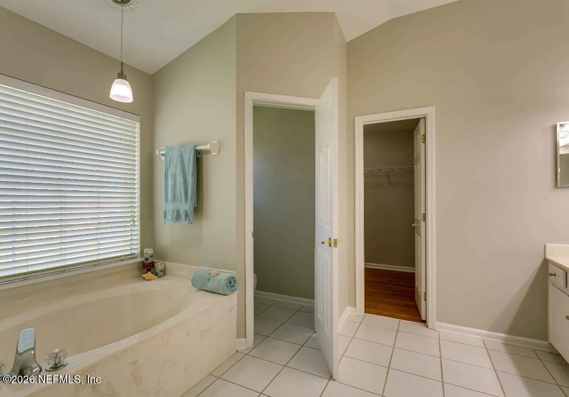 1734 Eagle Watch Drive Fleming Island FL 32003