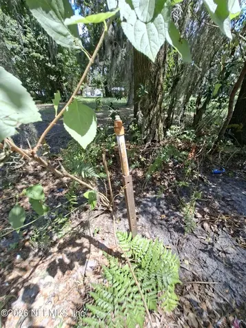 Lot 89 Huntington Road Crescent City FL 32112
