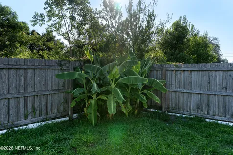 442 Ameca Avenue Orange Park FL 32073