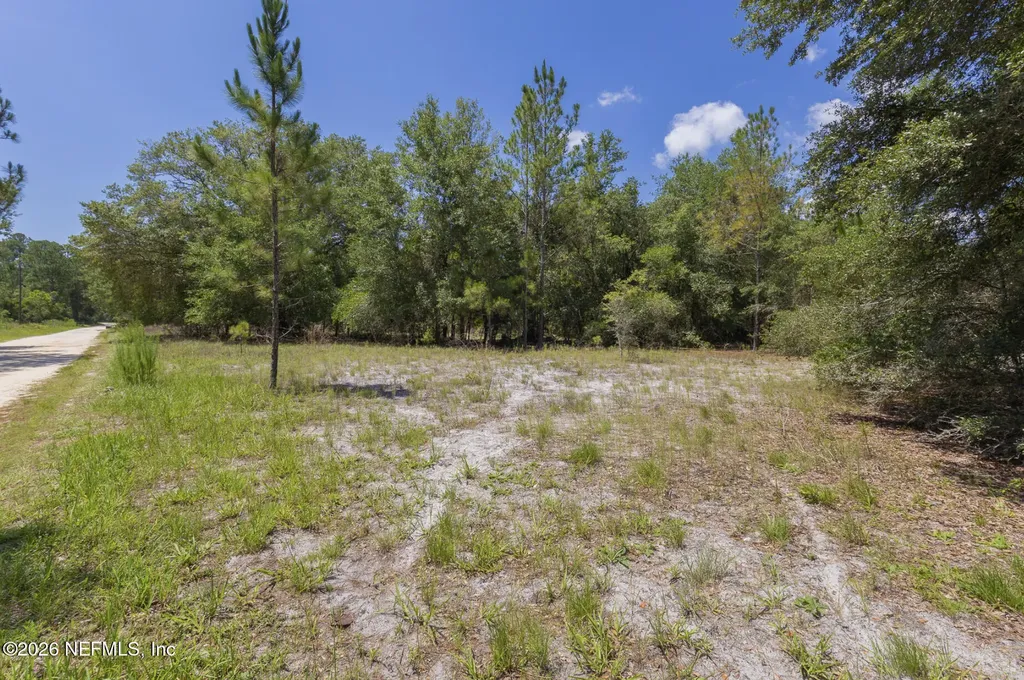 133 Landvale Street Georgetown FL 32139