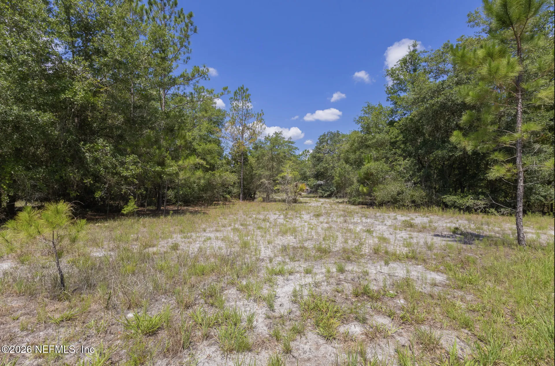 133 Landvale Street Georgetown FL 32139