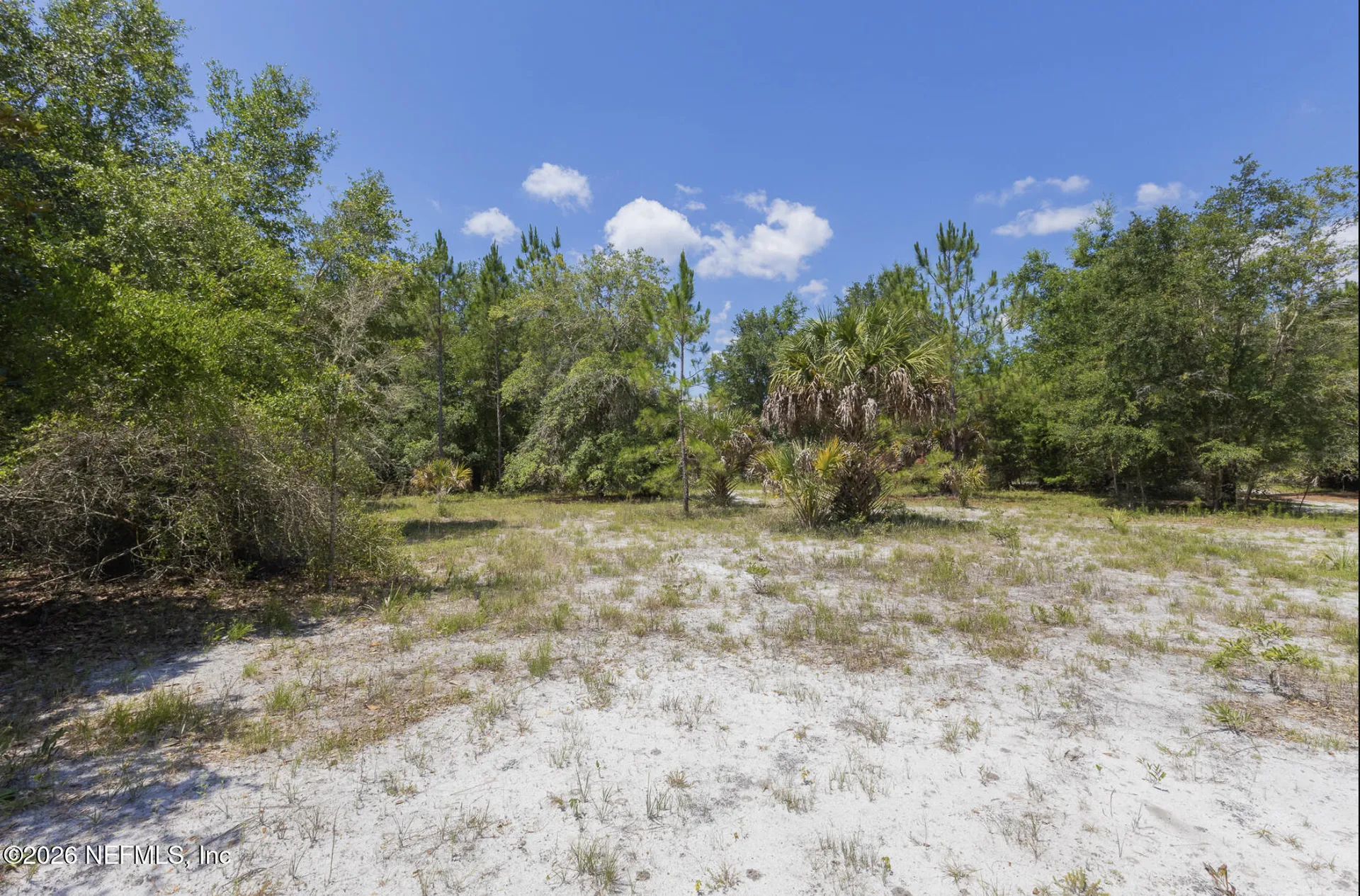 133 Landvale Street Georgetown FL 32139