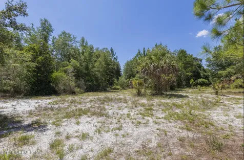 133 Landvale Street Georgetown FL 32139