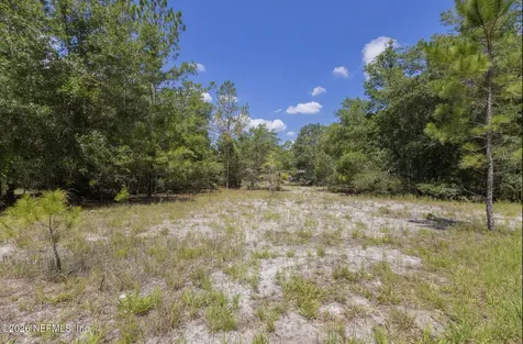 133 Landvale Street Georgetown FL 32139