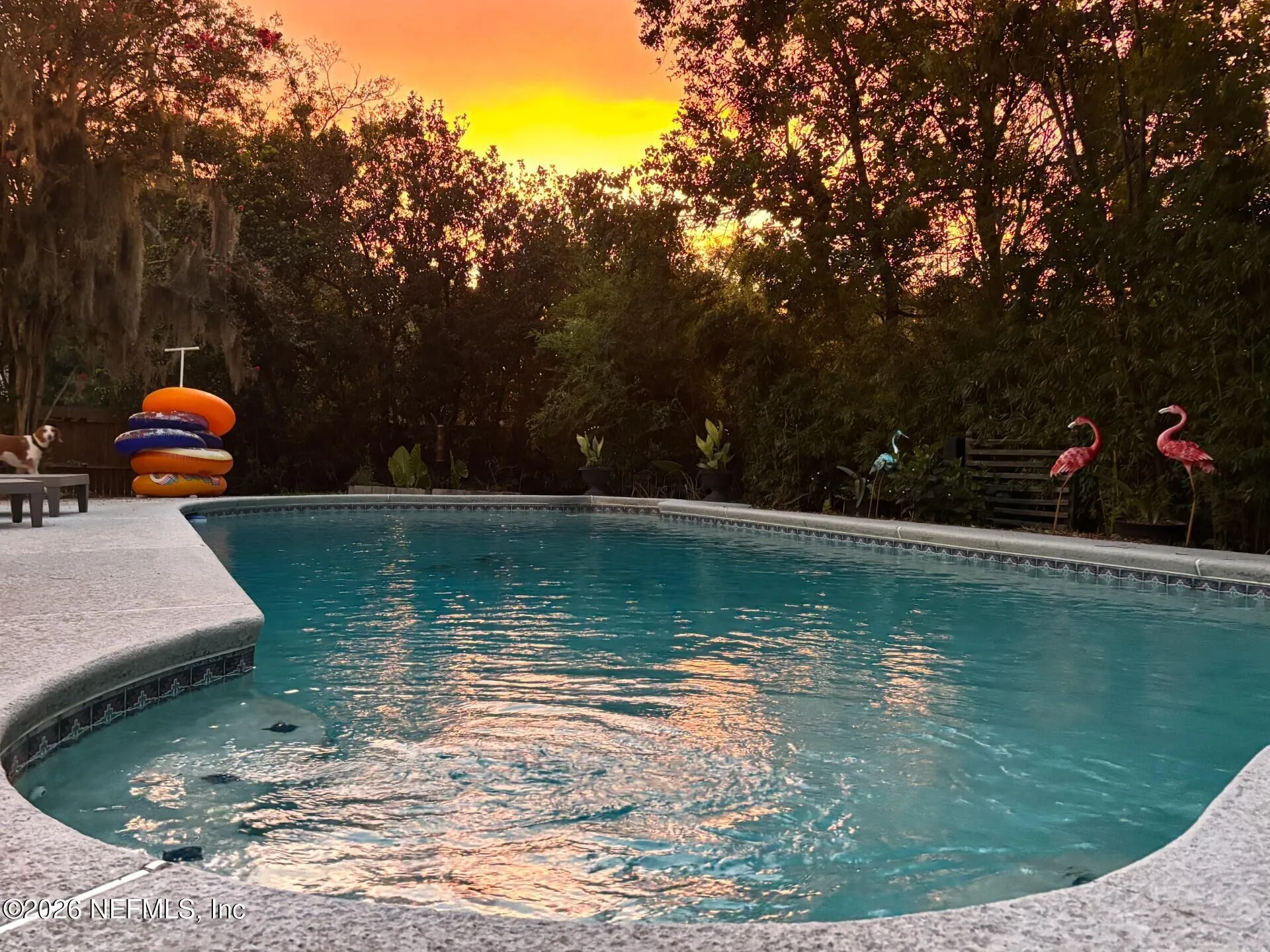 8078 Macnaughton Drive Jacksonville FL 32244