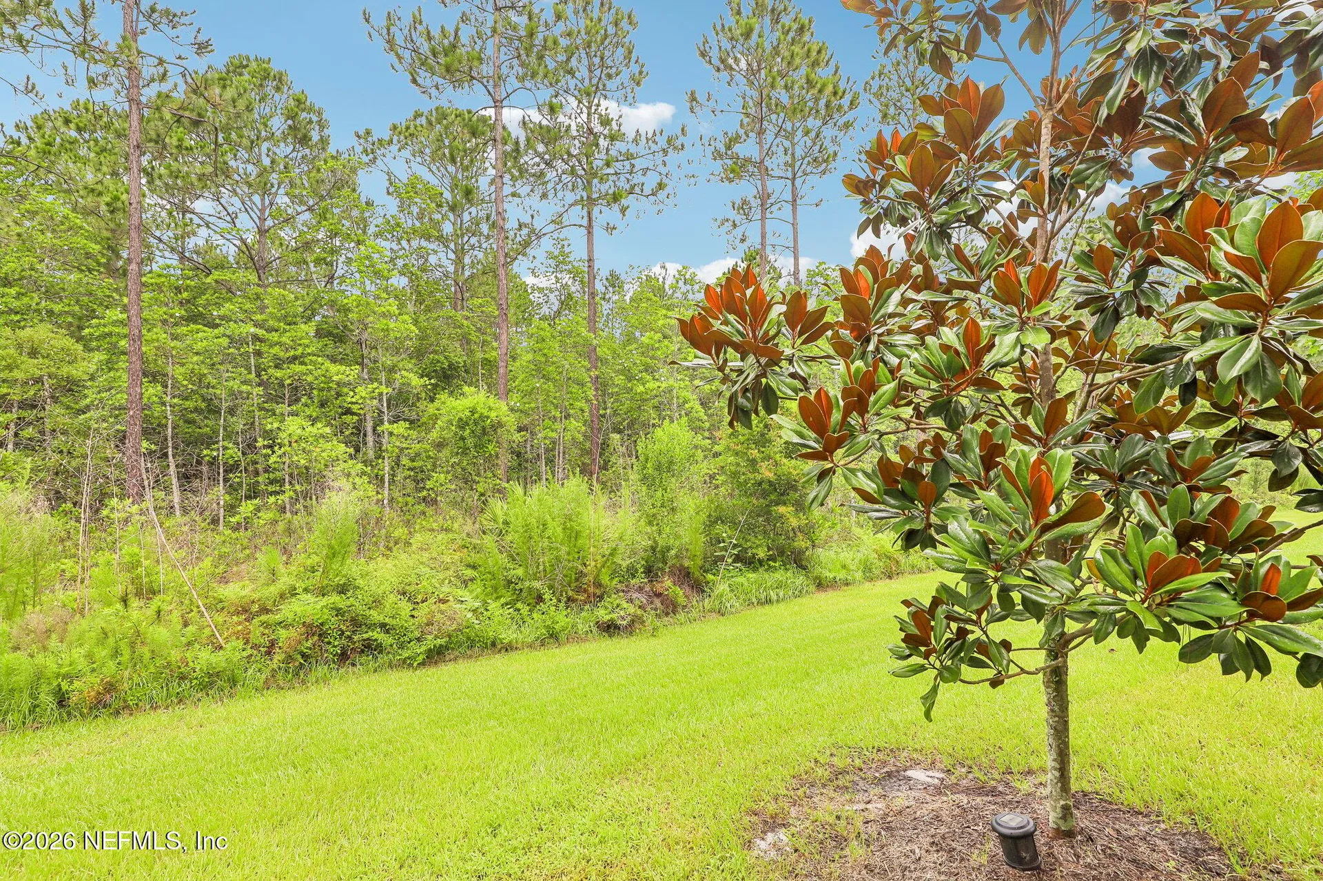 593 Coastline Way St. Augustine FL 32092