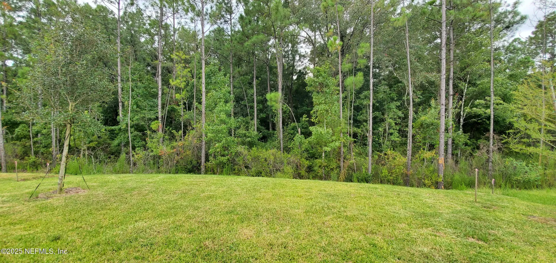 3432 Auvenshine Way Orange Park FL 32065