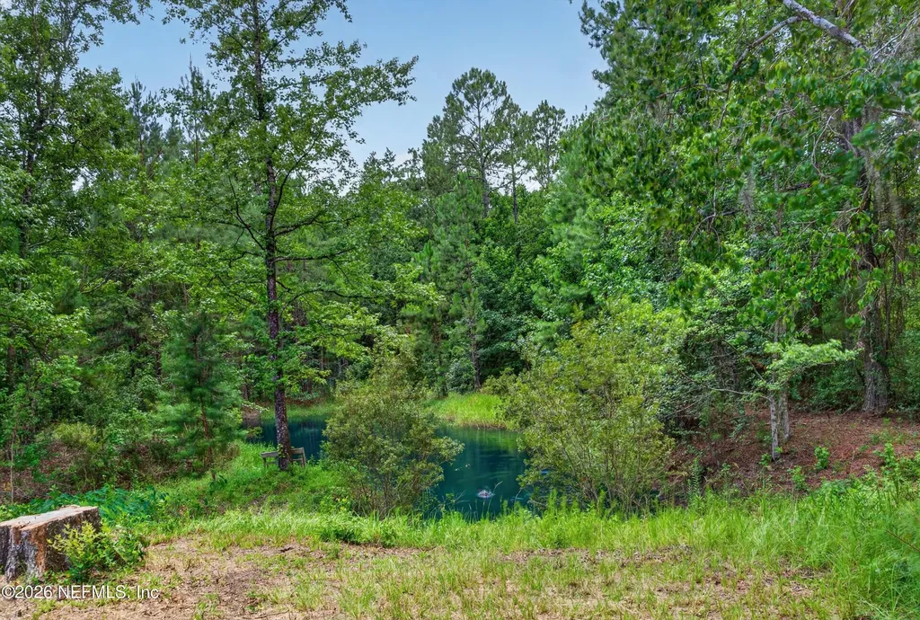 4890 Mcallister Road Middleburg FL 32068